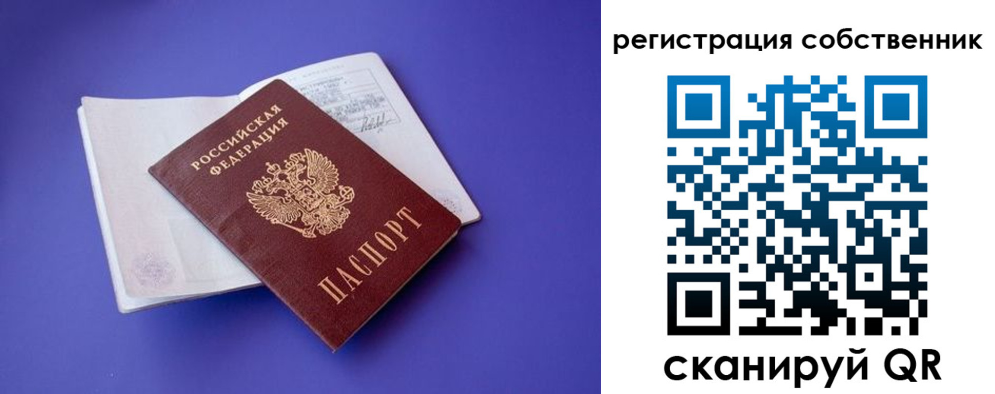 прописка штамп в Камышине